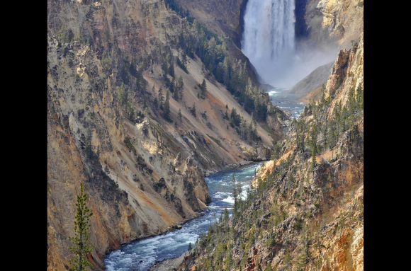 Yellowstone River - Lower Falls (Yellowstone NP, Wyoming, USA)